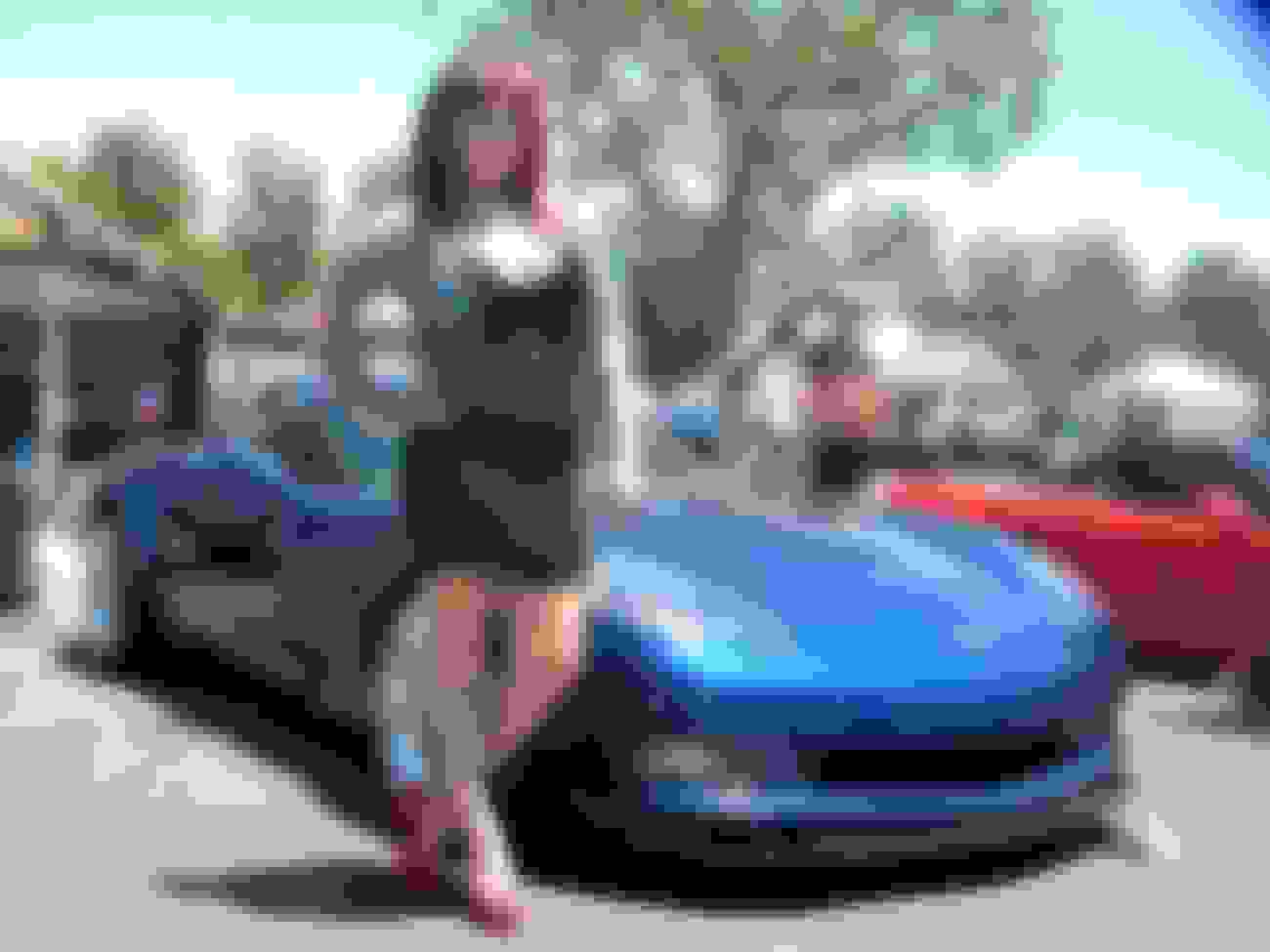 Post Bikini Babe Pics With Your Corvette Page Corvetteforum Chevrolet Corvette Forum