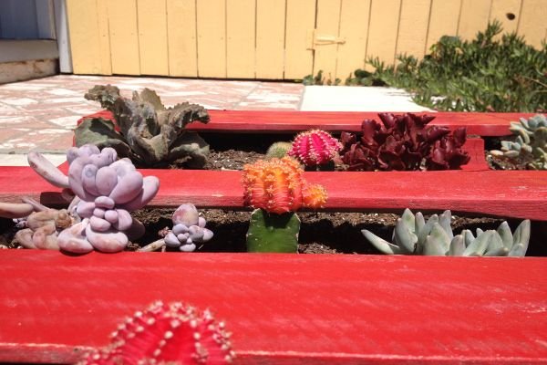 Step 7 - With the rest of your plants, you want to do nearly the same thing. Pla