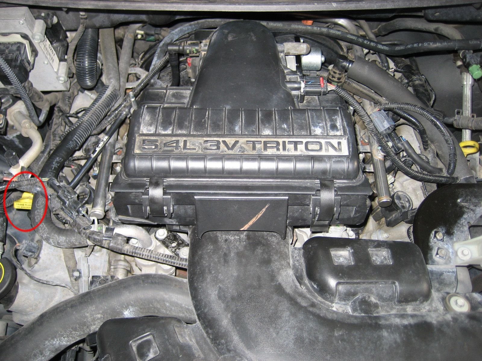 Ford F150 Transmission >> Ford F150 F250 Check Transmission Fluid How To Trucks Home Ford F150 Transmission >> Ford F150 F250 Check Transmission Fluid How To Trucks Home