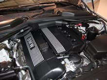 BMW 525i Engine.JPG
