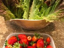 Pulled these straight from my garden. Six sprinkler heads are dedicated just for the garden area so they grow maintainence  free.