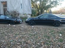 My black beauties