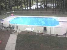 Come To The Pool..must bring females