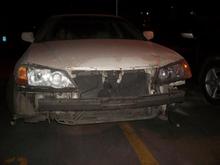 Picture 017