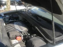 2   Dirty Engine Bay   Never Washed before (800x449)