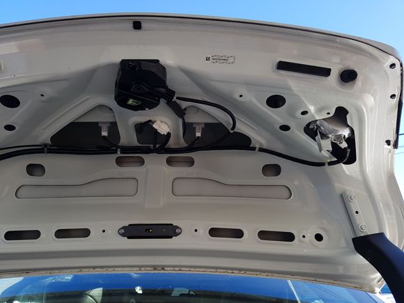 Trunk lid without fabric liner.