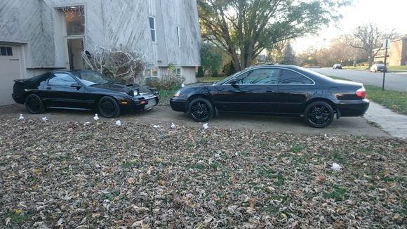 My black beauties