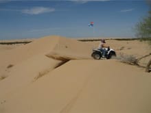 Wolvey at glamis, w/knobbies