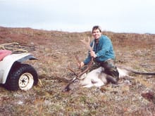 My first Caribou.