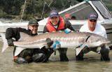 7 foot sturgeon caught on the Fraser River,there is nothing like fighting a critter bigger than you and winning!                                                                                        