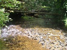 Clear river