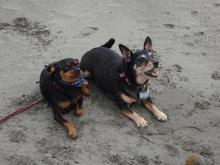 Hunter and Nina