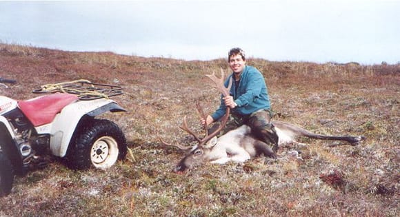 My first Caribou.