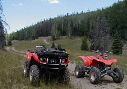 2002 Grizz and 2000 400EX. Cedar Mountain, Utah