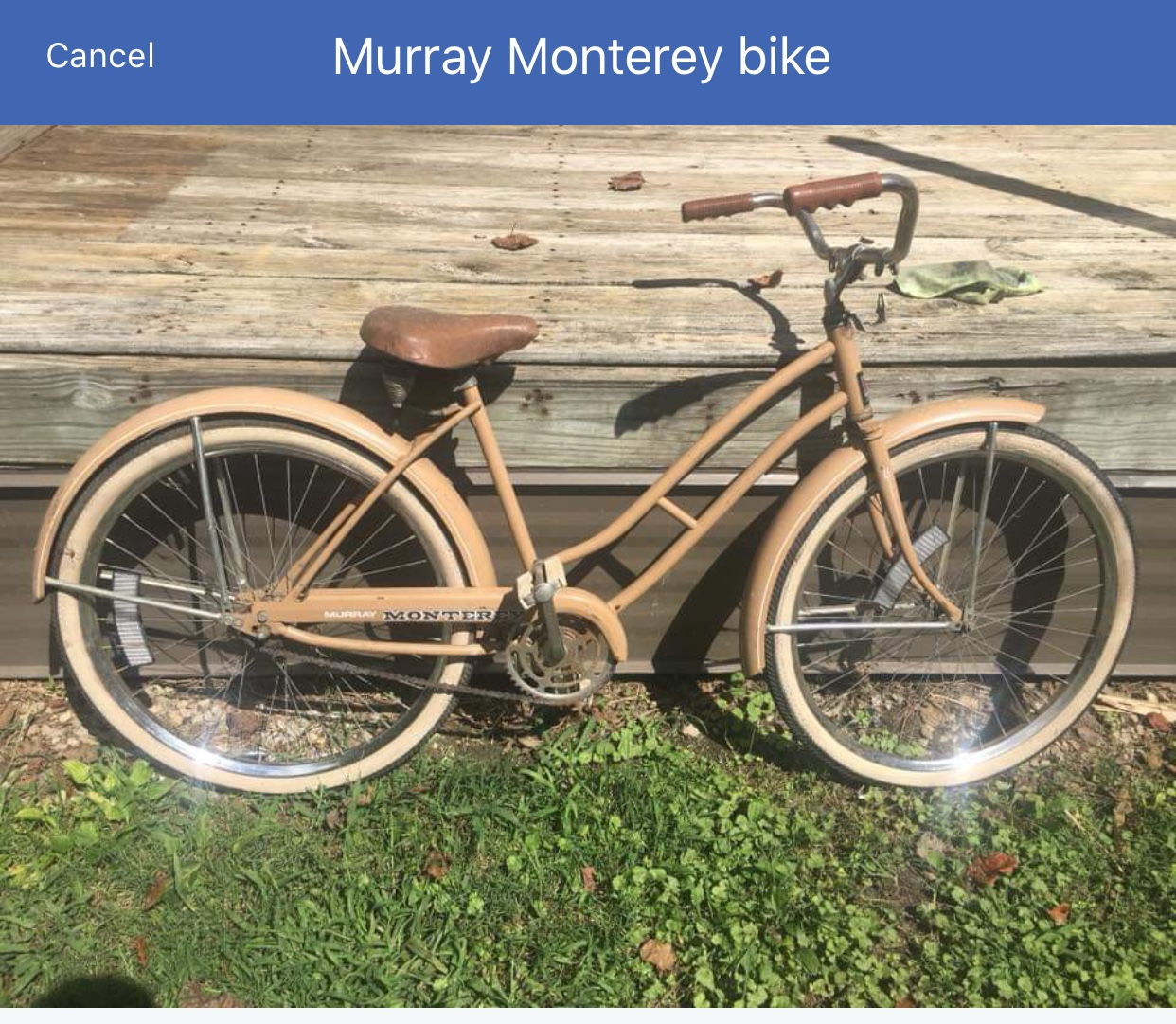 murray bike vintage cruiser