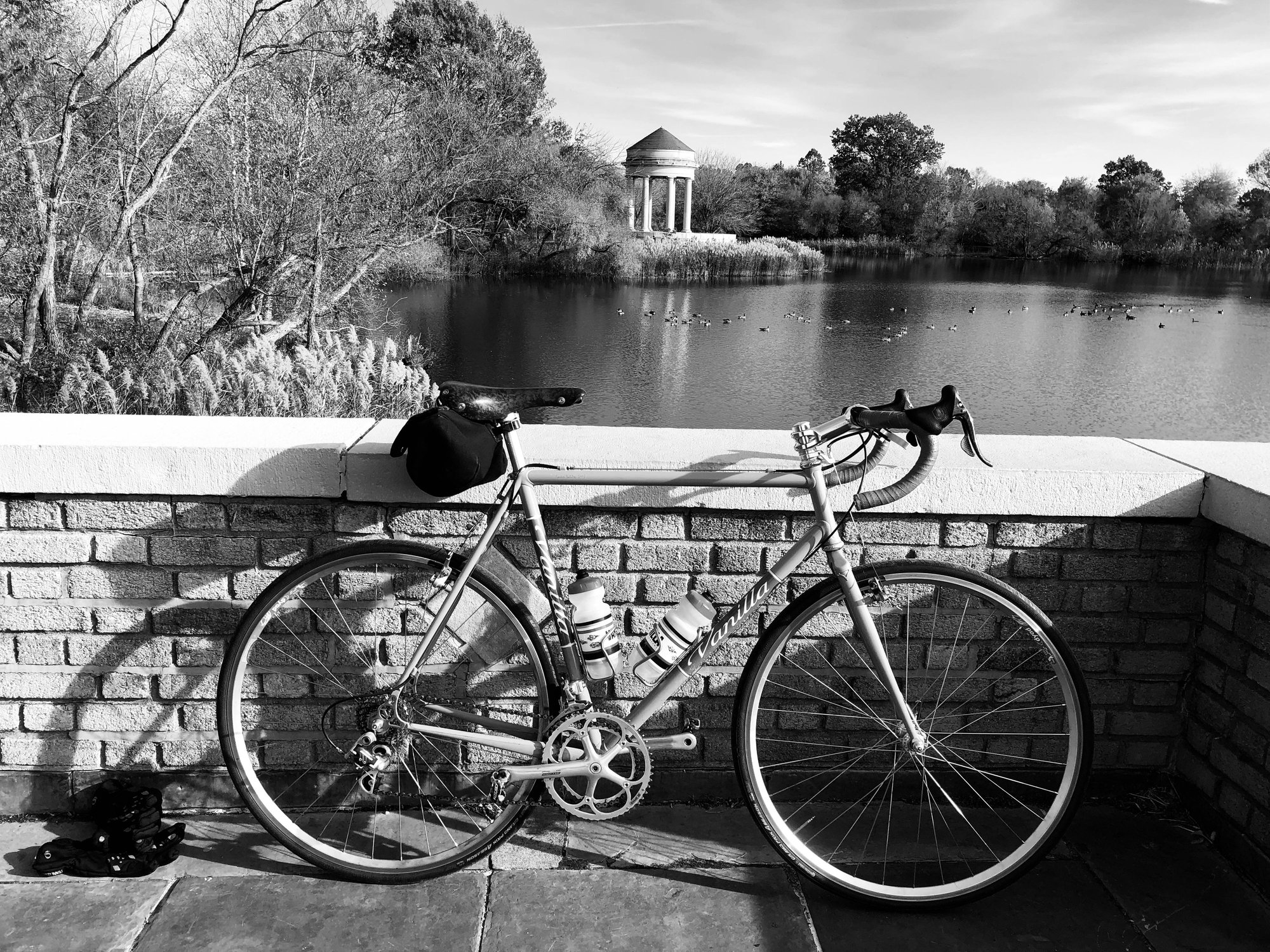 Show Us Your Bikes Starting With V Bike Forums