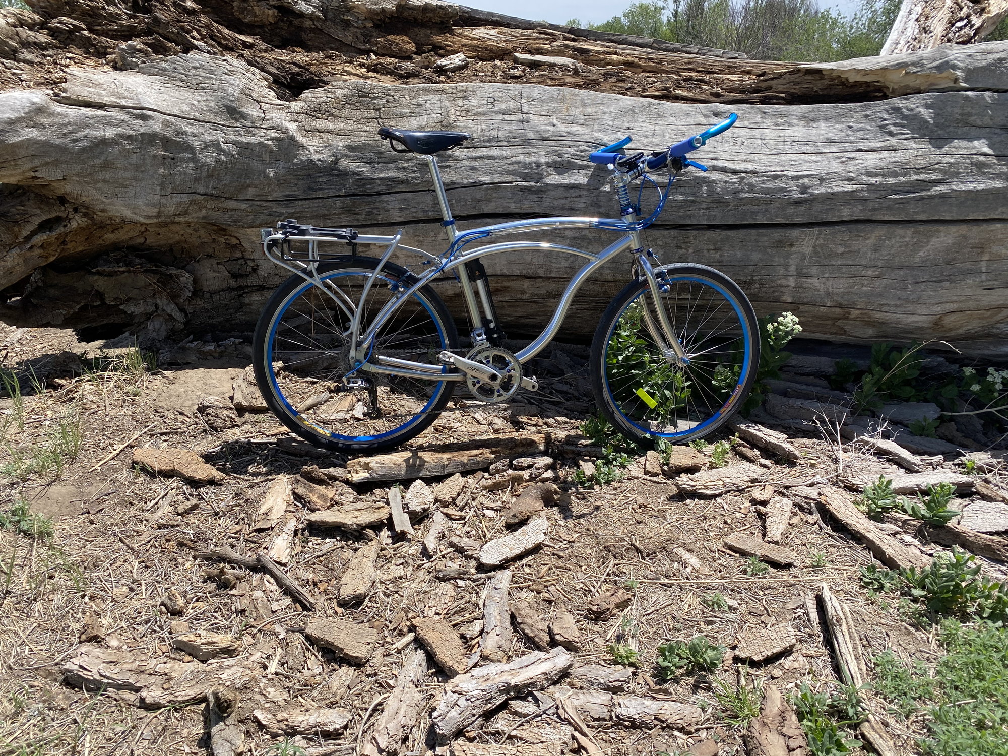 trek clyde cruiser bike