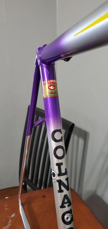 check colnago c40 serial number