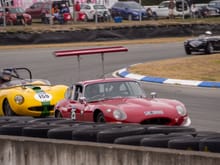 classic sports-racing cars.