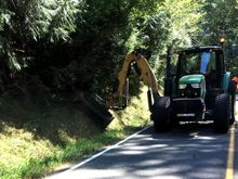 Found the crooks destroying my roadside snacks of blackberries