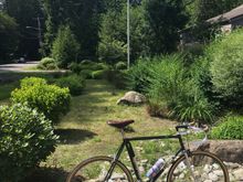 Wind keeps it pleasant. The ‘82 Holdsworth Special with  plush 32 makes it comfy.  The smallest frame in-house, best in head winds for getting ‘small’.
