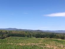 Beautiful day in NC!