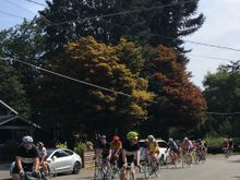 Here come much of the group.  I did not count heads.