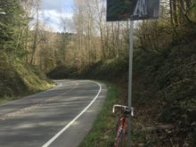 Proof it really is called Cougar Mountain