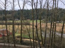 Still looks like Winter at this distance - budding has started, Spring is close.  Wet in the lower boggy fields.