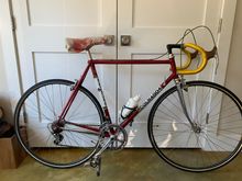 Never Ridden Wall Hanger!?