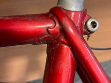 Rescue raleigh