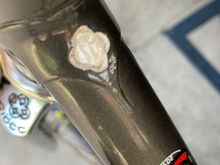 Longer lugs.  