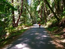 Gazos Creek Road