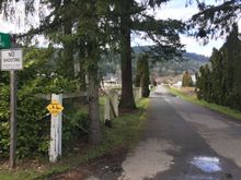 Here’s a neighbor’s driveway art pictured before, but not with a bike that seems such a match.