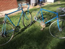 Both medium sized.