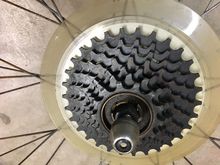 Very little use on this freewheel
