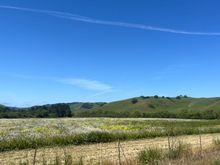 The Bears Loop takes you around a couple reservoirs east of Berkeley in the Orinda and El Sobrante area. We took the old road that runs along the San Pablo Reservoir—a mixed terrain trail that is mostly gravel with cement in some sections.