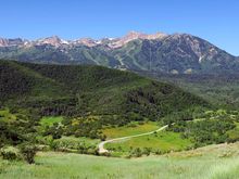 At the first summit