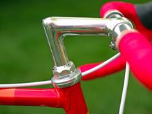 Shiny stem!
