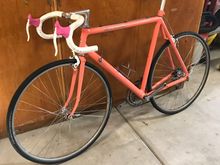 Coral 86 SR800