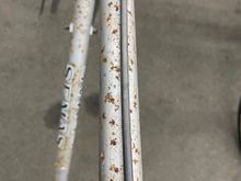 Speckled!!