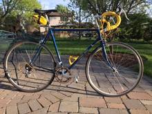 trek 420