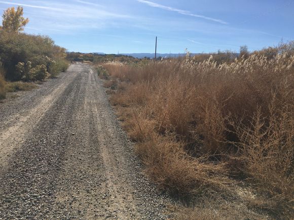 Gravel section and paved near the CO River.