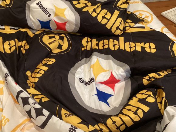 Yup I have Steelers bedding I am a dork. 