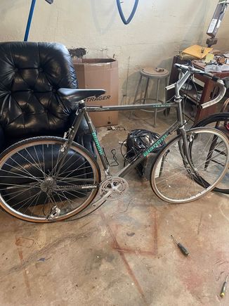 (Seller Pic) Samantha Reno is my new aquired 1997 bIanchi San Remo, Lugged steel, shifter bosses and semisloping fork crown