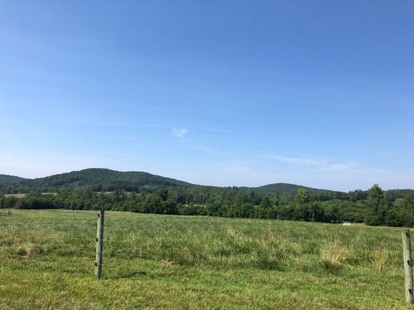 Long views from today.