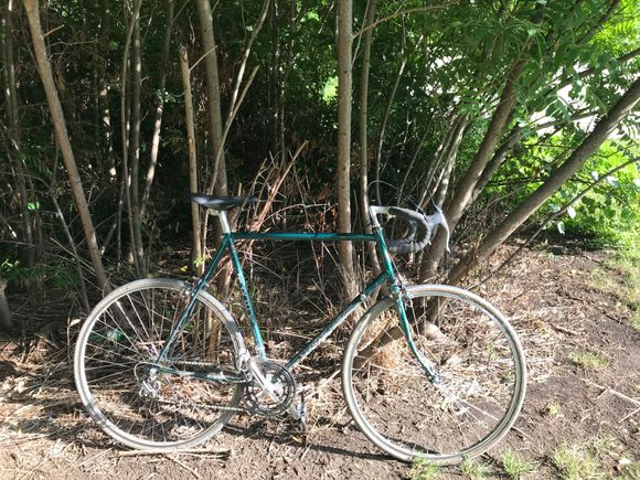 1978 Trek 706
