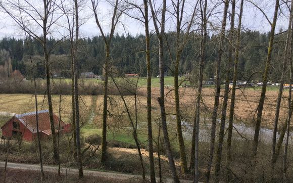 Still looks like Winter at this distance - budding has started, Spring is close.  Wet in the lower boggy fields.