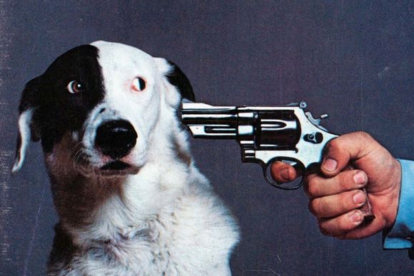 National Lampoon