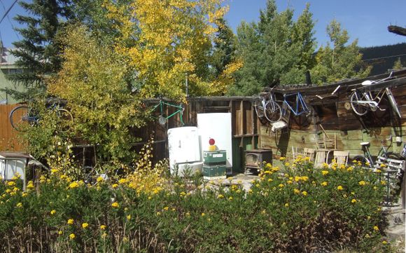 Seems every time I ride by the bike art house there's another bike. I actually owned the blue Miyata 90 in the background briefly no clue how it ended up here.